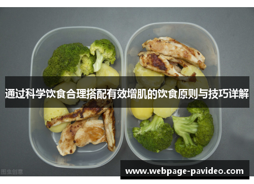 通过科学饮食合理搭配有效增肌的饮食原则与技巧详解